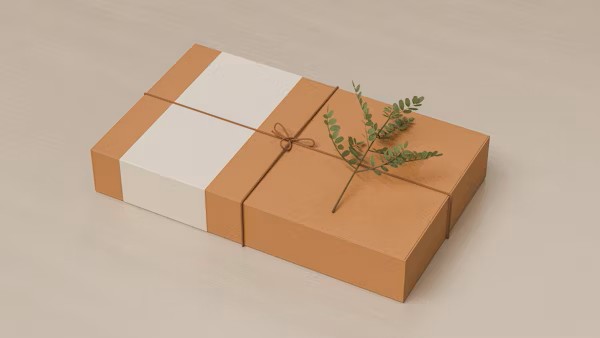 Gift wrapped in a neutral, nature theme with string and a fern placed next to the bow. Gift wrapped in a neutral, nature theme with string and a fern placed next to the bow.